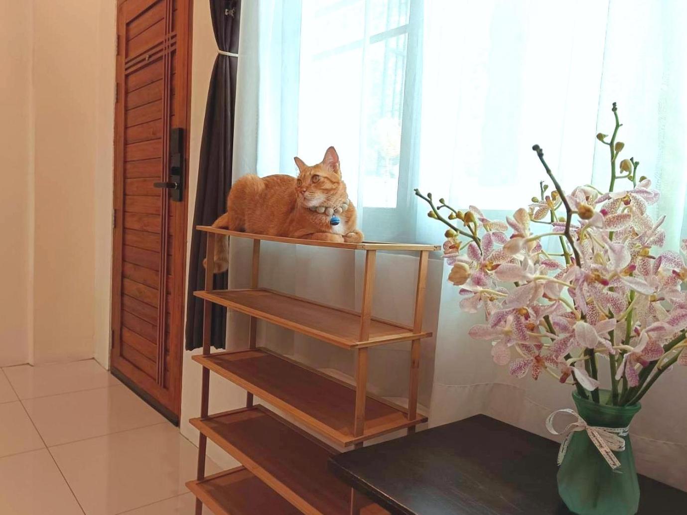 Sasima Bed And Breakfast Chiang Mai Exterior foto